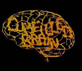 logo Cumfilled Brain